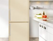 Kenmerken van droogvriezen, het werkingsprincipe van een dergelijke bevriezing