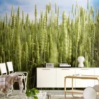 beautiful photo wallpaper with city landscapes in the kitchen photo