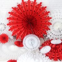 éventail en carton dans le style de photo d'invité