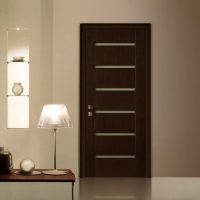 portes lumineuses dans le style d'une photo d'invité