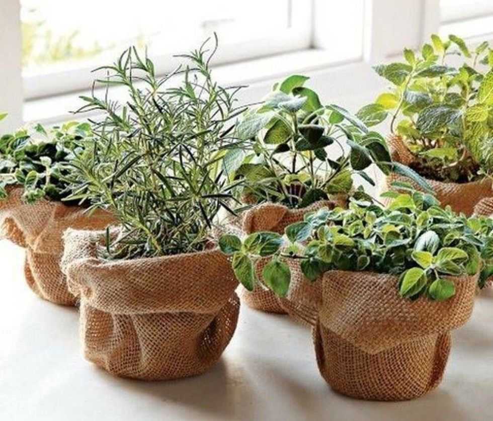 the idea of beautiful pot decoration