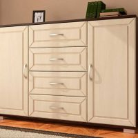 original design of the cabinet with your own hands photo