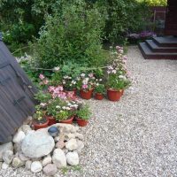 la conception originale du décor de la banlieue imite la photo