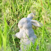 belle création d'un décor de résidence d'été faux photo