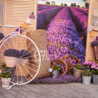 original interior decoration of an apartment in provence style
