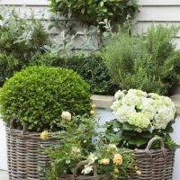 belle création d'un décor d'une maison de campagne en pierre