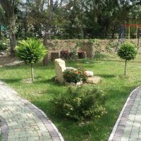 belle création d'un décor d'une maison de campagne photo de fleurs