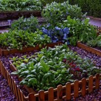 belle conception d'une maison de campagne avec des pierres