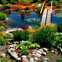 création inhabituelle du design d'une résidence d'été