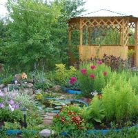 création inhabituelle d'une maison de campagne par des moyens improvisés picture
