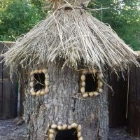 belle création d'un décor de résidence d'été avec photo de fleurs