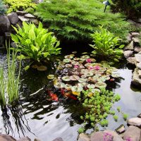 la conception originale de la conception du pays avec photo faux