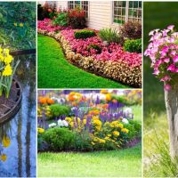 belle création de la conception d'un chalet d'été avec des fleurs photo