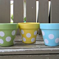 idea of bright decor flower pots photo