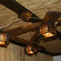 the idea of the original decoration of the room with a tree do it yourself picture