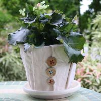 idea of a bright decor of pots picture