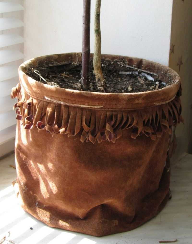 idea of bright decor of flower pots