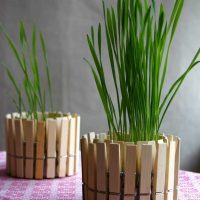 idea of original decoration flower pots picture