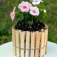 idea of bright decoration of flower pots photo