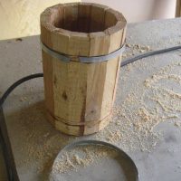 do it yourself idea of a chic room decor with a tree photo