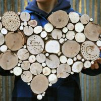 the idea of light decoration of the room with a tree do it yourself photo