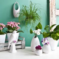 the idea of original decoration of the living room with your own hands picture