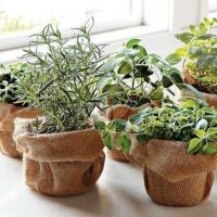 idea of original decoration flower pots photo