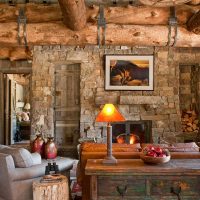 idea of a beautiful rustic living room interior photo