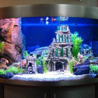 the idea of a beautiful design of a home aquarium photo