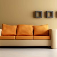 the idea of a beautiful apartment decor with a sofa picture