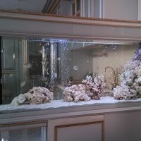 the idea of bright decoration home aquarium photo
