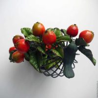 idea of a bright room interior with a decorative cage picture