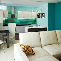 idée d'un intérieur insolite d'une grande photo de cuisine