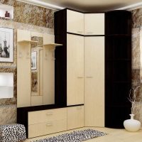 idée d'une photo de couloir de décor lumineux