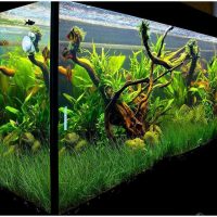the idea of a bright design of a home aquarium picture