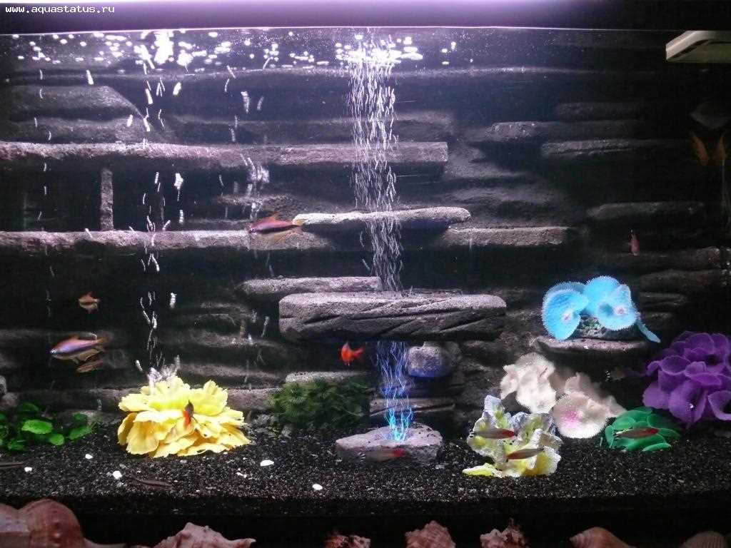 idea of original aquarium decoration