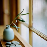 idea of the original design of the photo room