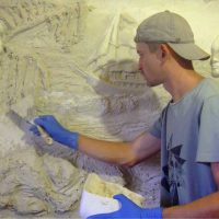 l'idée d'un appartement intérieur insolite avec un motif décoratif sur le mur photo