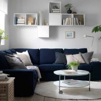 the idea of the original decor of the living room with a sofa picture