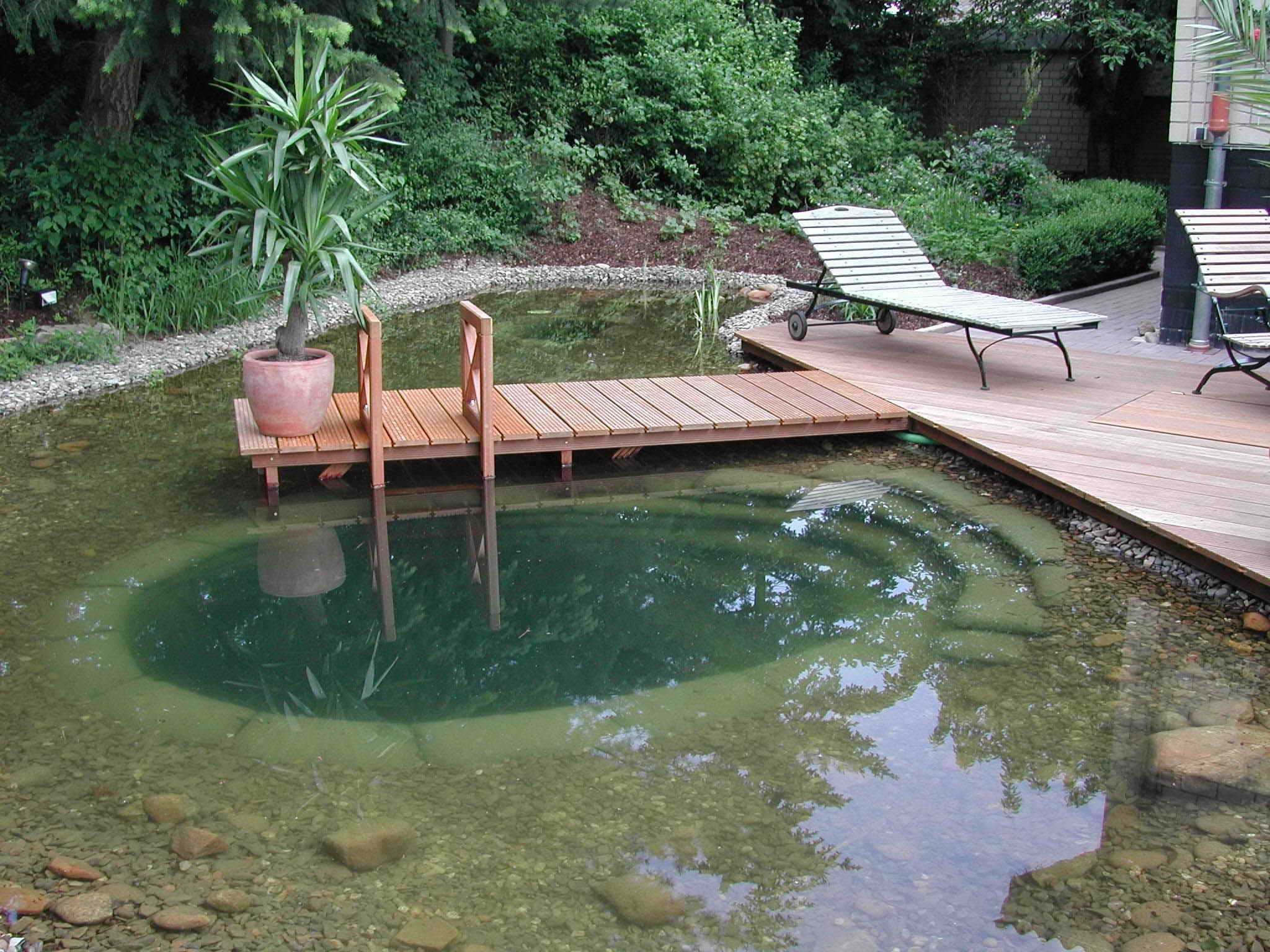 idea of the original design of a small pool
