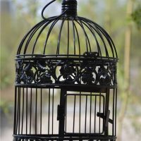 idea of a bright room design with a decorative photo cage