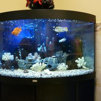 The idea of a bright design of a home aquarium photo