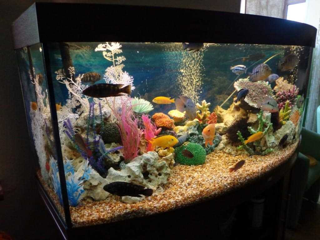 idea of original aquarium decoration
