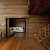 idea of a bright interior of a house in a tree picture