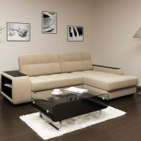 the idea of a beautiful apartment design with sofa photo