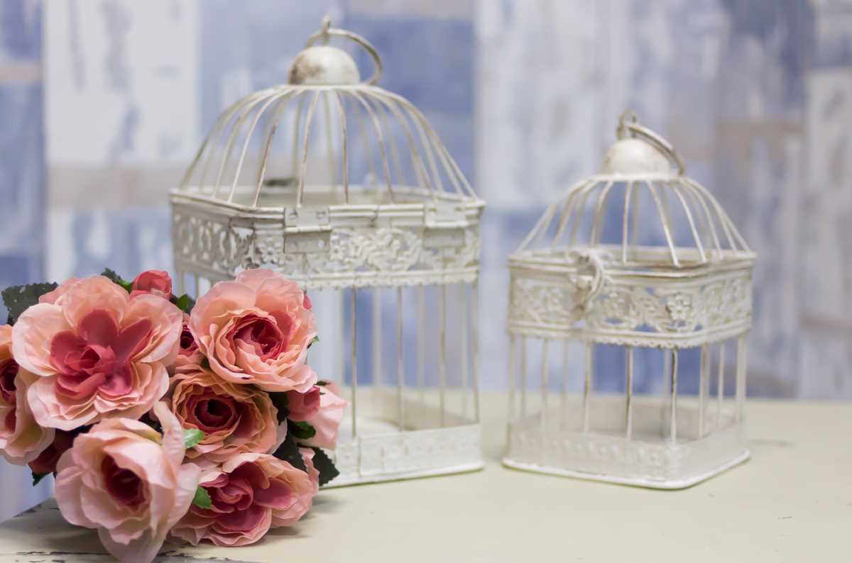 the idea of a bright apartment design with a decorative cage