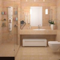 idea of a bright style bathroom photo