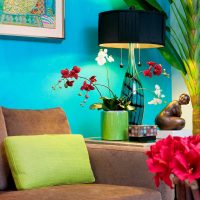 idea of the original design of the room picture