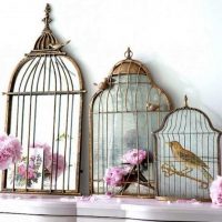 idea of an unusual style of an apartment with a decorative cage photo