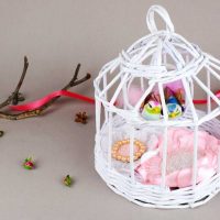 idea of an unusual facade of a room with a decorative cage photo